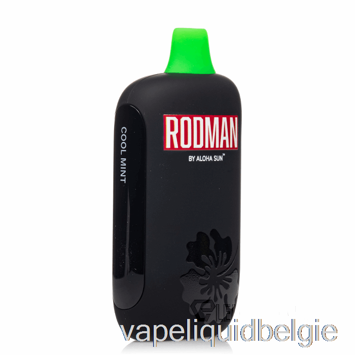 Vape Smaken Rodman 9100 Wegwerp Cool Mint